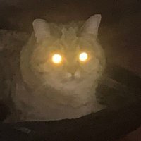 Micha (@0xmicha) 's Twitter Profile