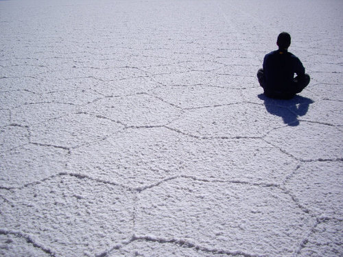 quecoesfran's profile picture. 