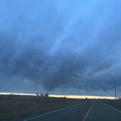 bunny_wchs's profile picture. 