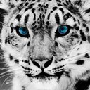 Daniel Levitan - @DanielLevi20232 - Twitter