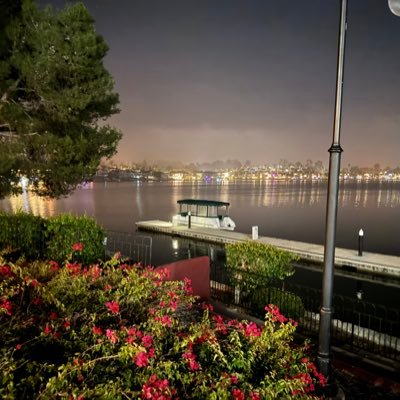 prash_math's profile picture. Here to learn and improve my knowledge. Into stocks, AI, astronomy, movies.