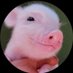 piggypay (@wedaperkasa) Twitter profile photo piggypay (@wedaperkasa) Twitter profile photo