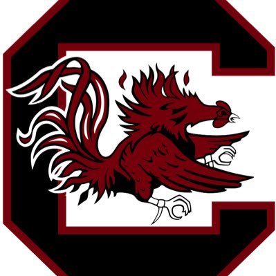 No affiliation with the University of South Carolina. Gamecocks Football❤️🖤
