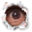 Ezequiel_Filho1's profile image