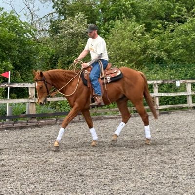 Born and bred in Leeds, now living in Donny. LUFC season ticket holder and bulldog lover. Rodeo fan and horse owner - 4 #aqha, 1 #exracehorse
