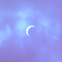 Purple Eclipse (@beef_paddykaddy) 's Twitter Profile
