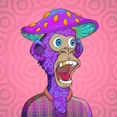 VibeKitty1's profile picture. In love with @solana