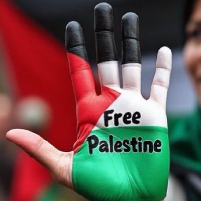 #LigueAntiMacroniste #NoPasaran #Antifa #FreePalestine