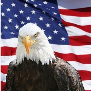 rox_bex's profile picture. Trump won!!! 100% MAGA!!! Conservative, Pro-Life, Second Amendment, God loving Patriot who loves this country!!!