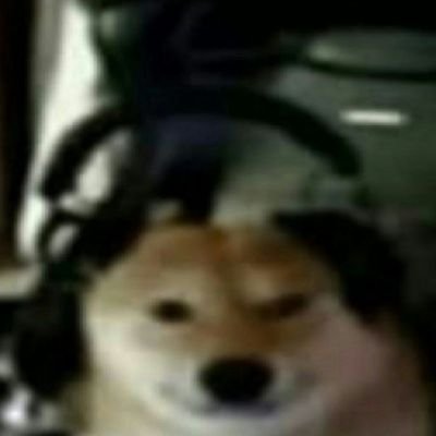 liiさんのプロフィール画像