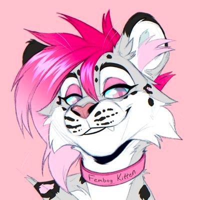 Dawn Snowmeow Profile