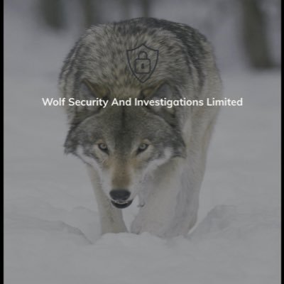 MDC, CEO, PSC, DPO, SC, DS, PI, FA, FM, HSE, CO. a supplier of Security and investigations