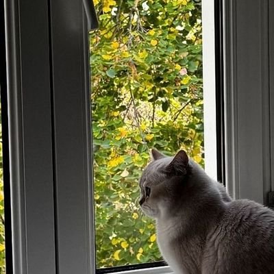 O_lala_oo's profile picture. ah c'est marrant