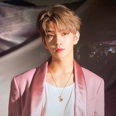 BTS BP NCT SKZ ITZY TWICE WOOSUNG CHEN W2E B.I IOI GOT7 astro riize ww1 woodz taeyeon chungha p1h leehi keshi conan dpr backup: @leeknowsmidzy
