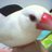 200901734's profile image