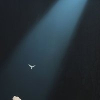 Omolola π (@bitilola) 's Twitter Profile