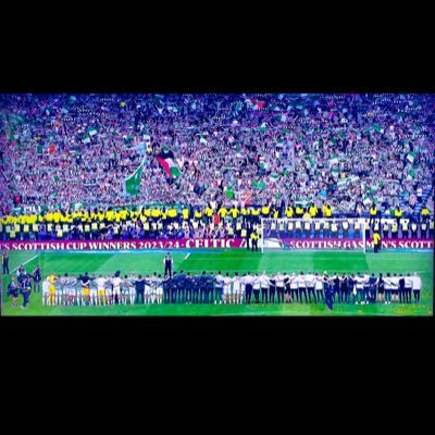 stuartybhoy82's profile picture. 🍀💚🍀