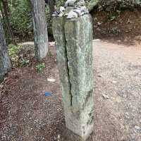 akanaka (@twtakaa) 's Twitter Profile