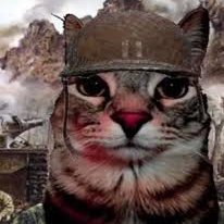 Greenprogen's profile picture. I just do furry stuff ig, bisexual, Minors DNI, NSFW Content COLLABS: ARE OPEN! (19) DMS: retrothetoaster69

#freeparts4protogens

Videos for November (3/4)