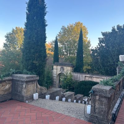 AliyaRana16's profile picture. 