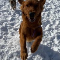 leese892 🇺🇦🌻🍎💡🏴‍☠️🌊🦉💜 (@leese892) 's Twitter Profile