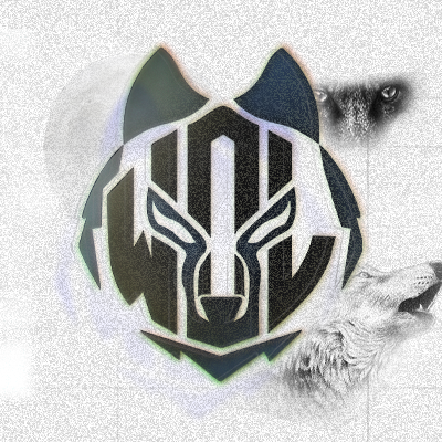 Organização de Esports 🎮 | League Of Legends, CS2, Valorant | #GOWOLVES 🐺#FollowThePack 🌙