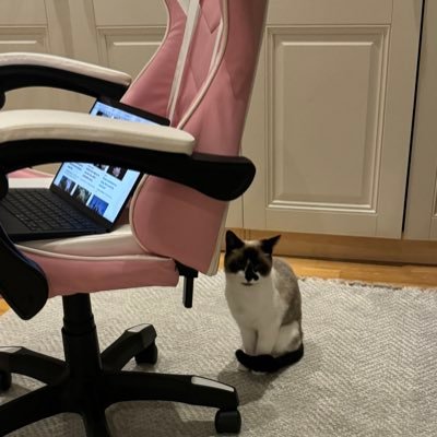 bbatuhankarakus's profile picture. Human being, law enthusiast and history buff