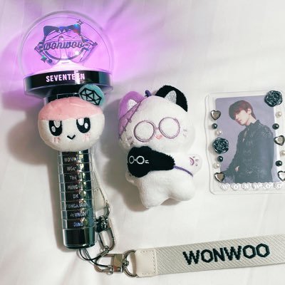eo_wnwooo's profile picture. seventeen⸜♡⸝‍scoups🍒wonwoo🦊   🍊🦖(身内分で求めてます)