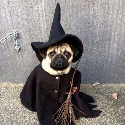 p 🧙‍♂️さんのプロフィール画像