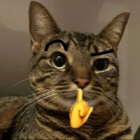 Don Aldo Trompetas (@elmeroyand) 's Twitter Profile