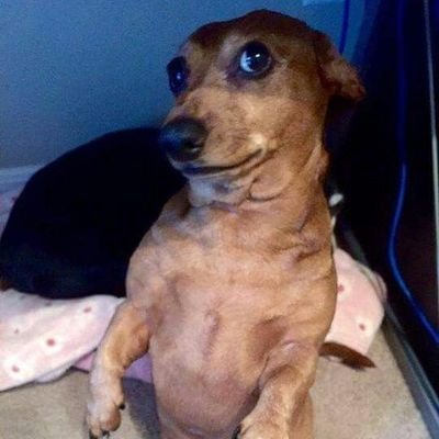 _azu_x_'s profile picture. 