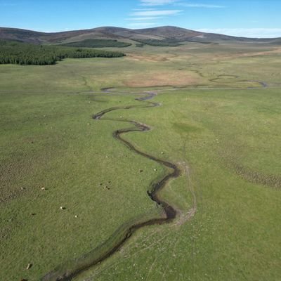 TechRex2050's profile picture. 山海行者