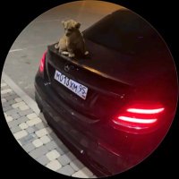 bir kişi (@oaydosbf92651) 's Twitter Profile