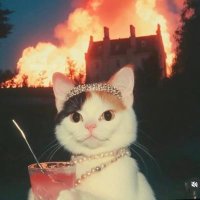 sertrade (@cryptoayisi) 's Twitter Profile