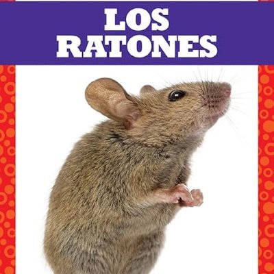 LoLFanFighting's profile picture. 