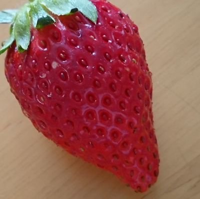 dHVliSOY1P70678's profile picture. 