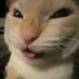 Priv Shuv it! (@shuvpriv) Twitter profile photo Priv Shuv it! (@shuvpriv) Twitter profile photo
