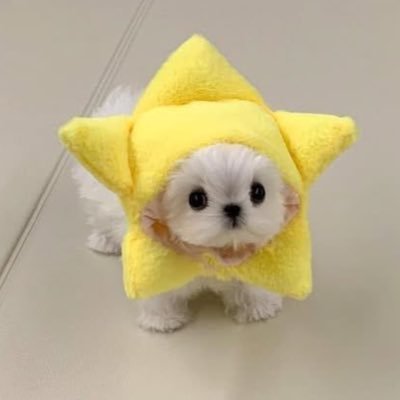 sammy💫さんのプロフィール画像