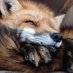 Floofster ⬜🟩 (@fluffyfluff_1) Twitter profile photo Floofster ⬜🟩 (@fluffyfluff_1) Twitter profile photo