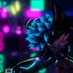 ๐ถREX๐ (@x_rex_vx) Twitter profile photo ๐ถREX๐ (@x_rex_vx) Twitter profile photo