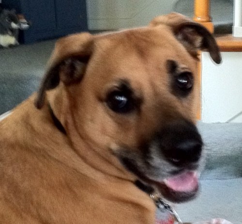 Rebellious2006's profile picture. 