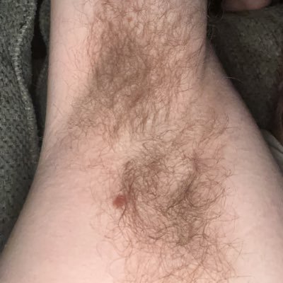 Gay. 45. Bush, pits, and hairy man lover. DM’s always open and welcome. 🏈
