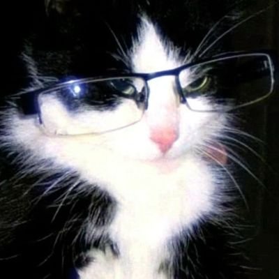 wttcarolxz's profile picture. just me.
@corinthians