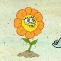 🌼Jade 🌼 (@420dingdong) 's Twitter Profile Photo 🌼Jade 🌼 (@420dingdong) 's Twitter Profile Photo