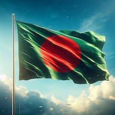 teambd2024's profile picture. 