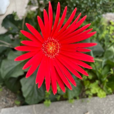 XqiIdHppHE55737's profile picture. 仲良し夫婦の在日韓国人、日本人の既成家庭。貸農園で野菜作りと格闘し、自然の恵みに感謝。自然、山歩き大好き。スポーツ大好き。ダイレクトメール返信は、ご遠慮させていただきます。