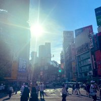 山本 輝 (@pa_yamamoto) 's Twitter Profile