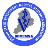 BOVEMSA (@bovemsa_) 's Twitter Profile Photo BOVEMSA (@bovemsa_) 's Twitter Profile Photo