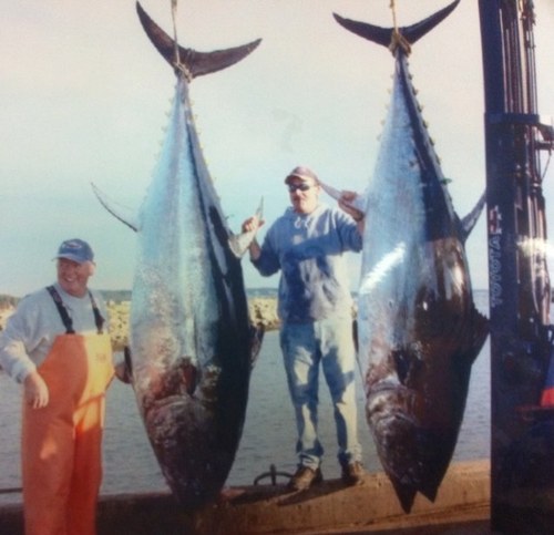 Giant Bluefin Capt.