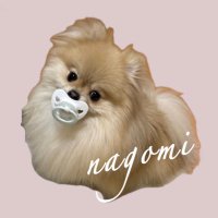なごみ🍵ポメラニアン (@nagomi_kedama) 's Twitter Profile Photo なごみ🍵ポメラニアン (@nagomi_kedama) 's Twitter Profile Photo